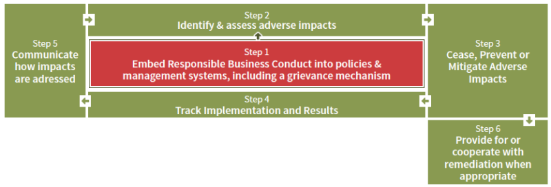 800_schema-module1-step_1_grievance_mechanisms.png