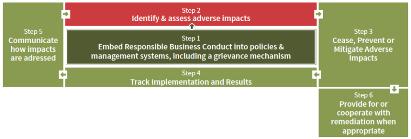 800_schema-module1-step_2_assess_adverse_impacts.png